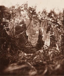 The fifth Cottingley Fairies photograph, 'Fairies and Their Sun-Bath' (1920), showing paper fairy figures in grass