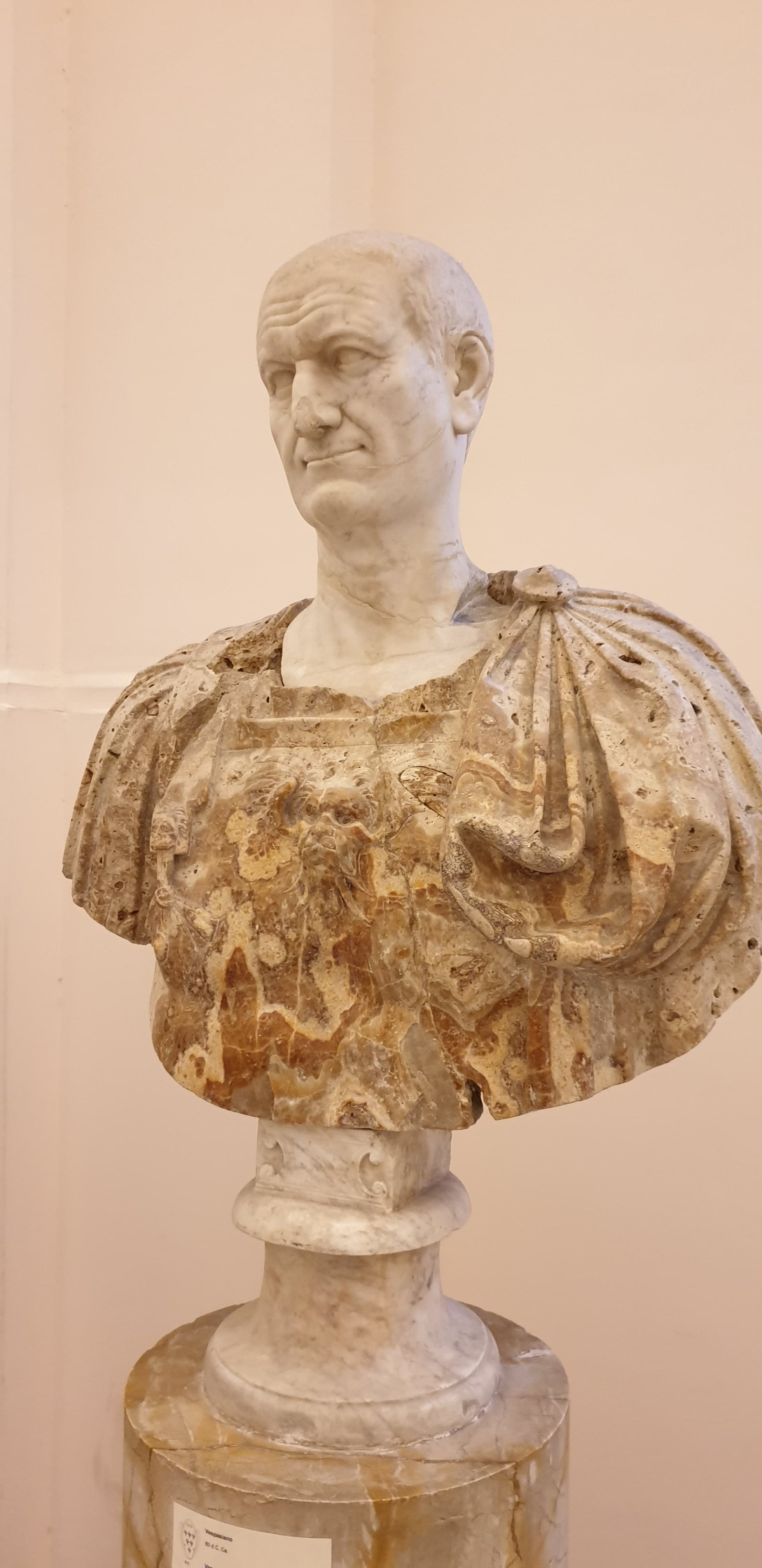 An ancient Roman marble portrait bust of the Emperor Vespasian (Farnese Collection, National Archaeological Museum of Naples).